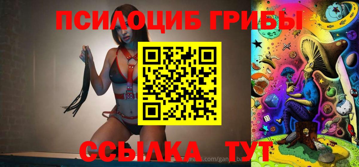 где купить наркоту  Псилоцибиновые грибы ЛСД  Псилоцибиновые грибы ЛСД  Вход с VPN  Майский 